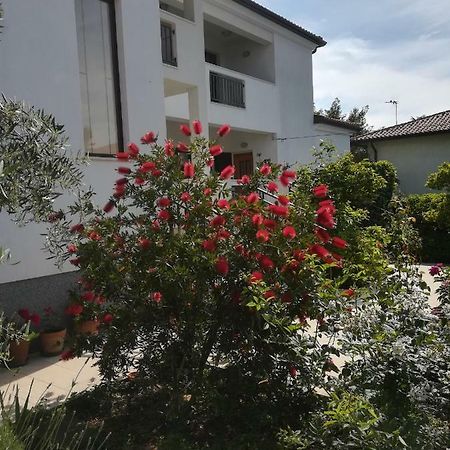 Stella Marina Apartament Umag Zewnętrze zdjęcie