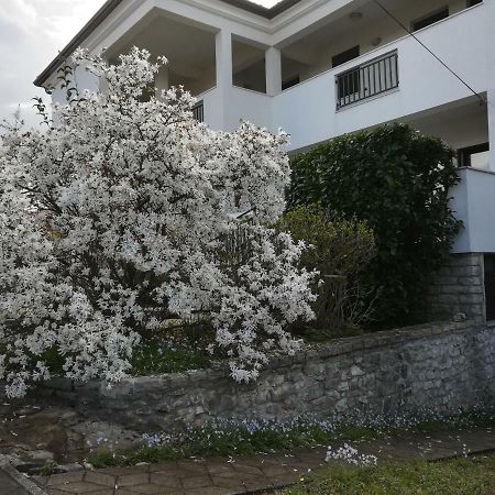 Stella Marina Apartament Umag Zewnętrze zdjęcie