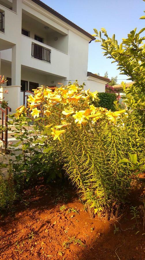 Stella Marina Apartament Umag Zewnętrze zdjęcie
