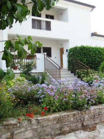 Stella Marina Apartament Umag Zewnętrze zdjęcie