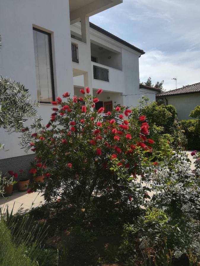 Stella Marina Apartament Umag Zewnętrze zdjęcie