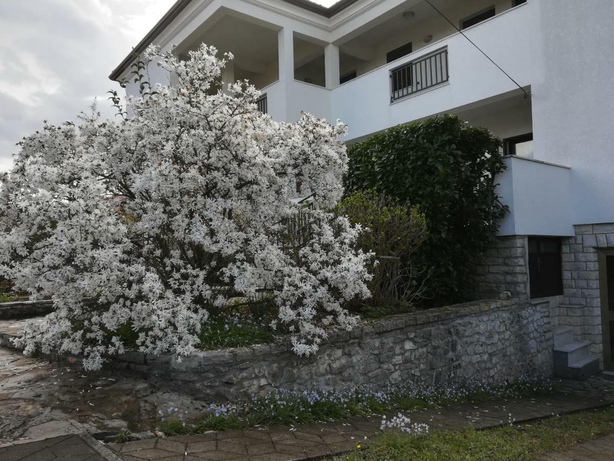 Stella Marina Apartament Umag Zewnętrze zdjęcie